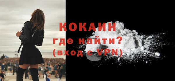 хмурый Новозыбков