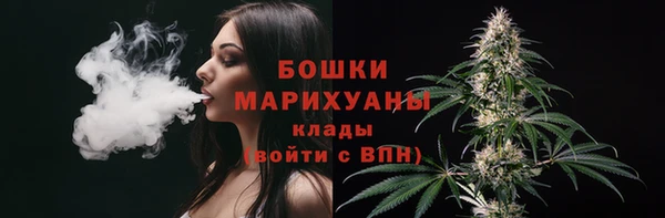 хмурый Новозыбков