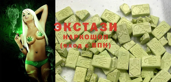 хмурый Новозыбков