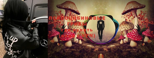 хмурый Новозыбков