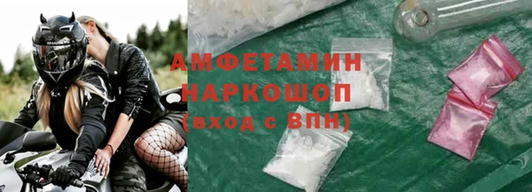 хмурый Новозыбков