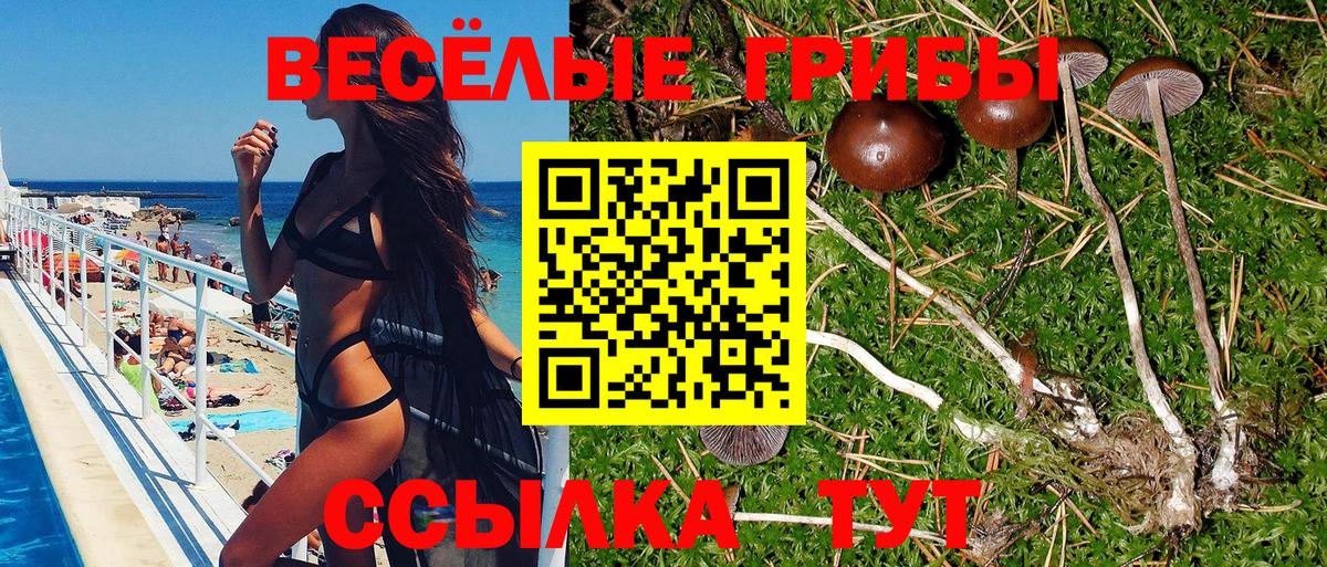 Галлюциногенные грибы Psilocybine cubensis  где купить наркоту  Вход с VPN  Нижнекамск  Галлюциногенные грибы мухоморы 