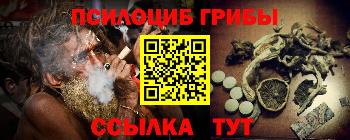 Галлюциногенные грибы Psilocybine cubensis Нижнекамск
